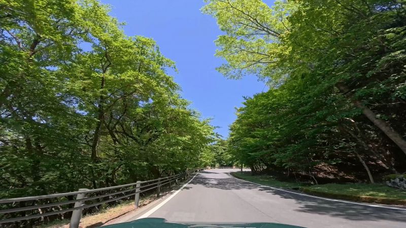 遠笠山道路